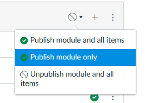 Screenshot of the Publish module only option